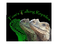 Tom's Talking Reptiles logo