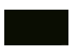 Creative Faces logo