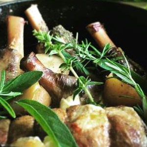 lamb hotpot with garden herbs and vegetables 