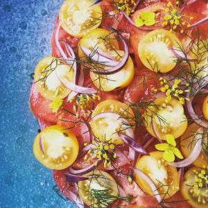 tomato and red onion salad 