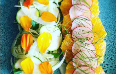 fennel and orange salad 2019