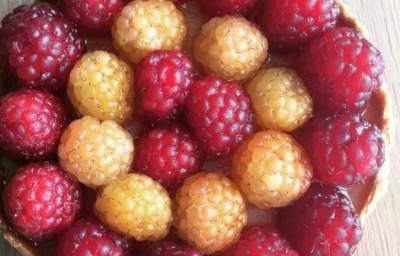 Garden Raspberry tart 2018 
