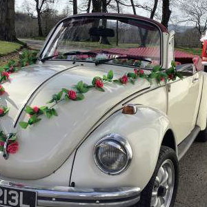 VWS BONNIE & RUBY!