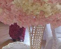 eliteeventsdecor_20200517_11