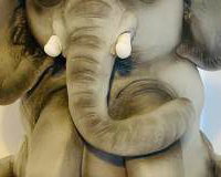 Elephant cake