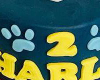 Paw Patrol cake