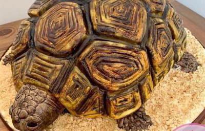 Tortoise