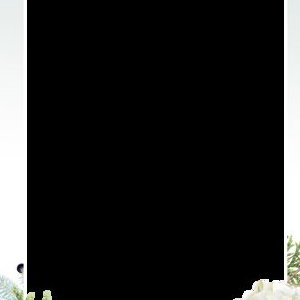 Joff_and_Ada_150722_v1_overlay_pGW2.png