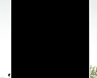 Joff_and_Ada_150722_v1_overlay_pGW2.png
