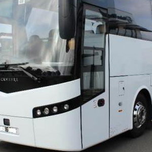 coach