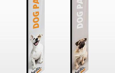 Promotional Print - Flags
