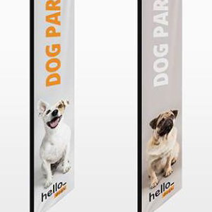 Promotional Print - Flags
