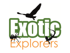 Exotic Explorers logo