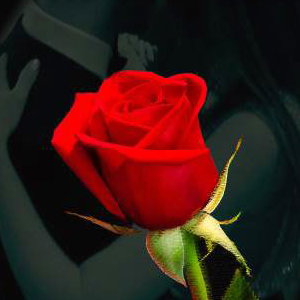 From the heart logo (portrait)