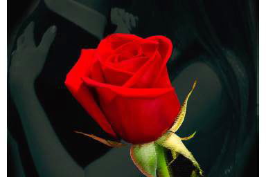 From the heart logo (portrait)