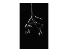 Alexa Gibbens logo