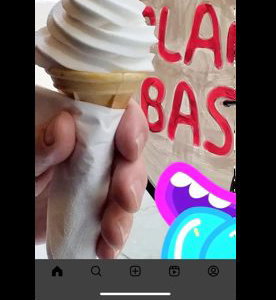 Vegan whippy