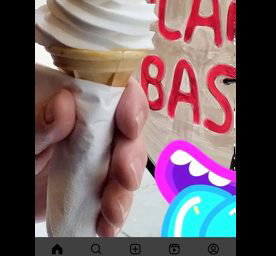 Vegan whippy