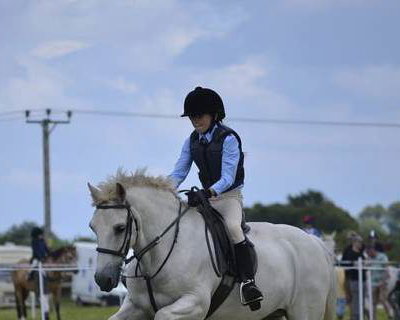 white-horse-jumping-child-white