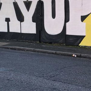 ayup duck 2