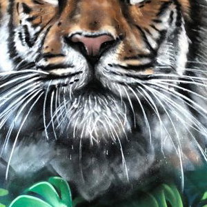 tiger bedroom