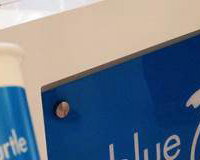 Blue turtel