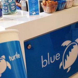 Blue turtel