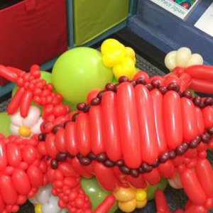 This red Gecko was for the company GeckoRouge