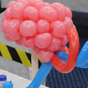 Brain for a Science Party