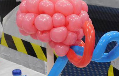 Brain for a Science Party