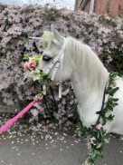 The Ramblers Riding Club And Pony Parties
