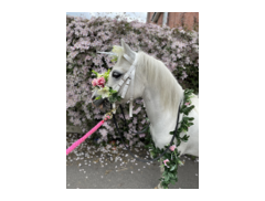 The Ramblers Riding Club And Pony Parties logo