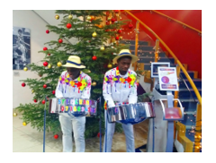 Caribbean Steel Band For Party Hire logo