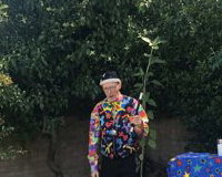 Magic in the garden