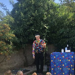 Magic in the garden