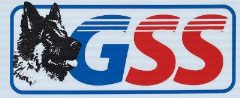 Guardian Security Services (North East) Ltd