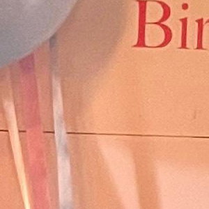 Teddy bear balloon setup