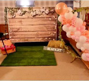 Party set-ups