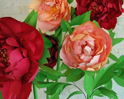 Giant paper peonies. 