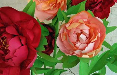 Giant paper peonies.