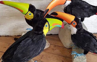 Life size toucans