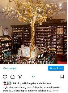 Gold leaf, golden orange tree. 