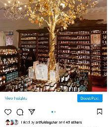Gold leaf, golden orange tree.