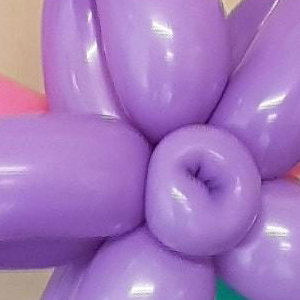 Heart balloon modelling