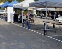Kingston outdoor event