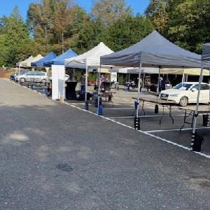 Kingston outdoor event