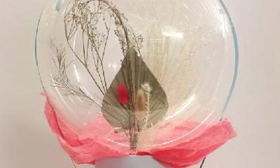 Balloons by Beau