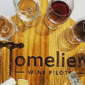 cheese and wine tasting