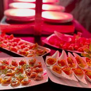 EpiCatering Mixed Canapés