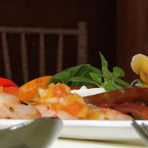 EpiCatering Starter
